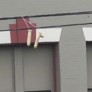 Hundreds of sex toys are hanging over power lines in Portland. Image via Inquisitr.