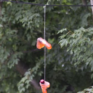 Hundreds of sex toys are hanging over power lines in Portland. Image via Oregon live.