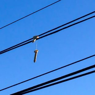 Hundreds of sex toys are hanging over power lines in Portland. Image via Oregon live.