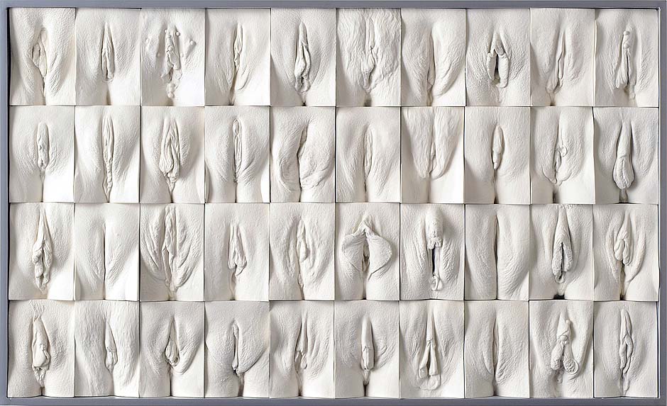 Jamie Mc Cartney The great wall of vagina, panel 1 of 10. The 9 metre long polyptych consists of four hundred plaster casts of vulvas, all of them unique, arranged into ten large panels.