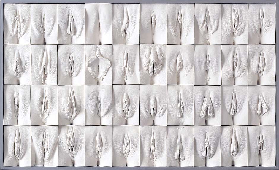 Jamie Mc Cartney The great wall of vagina, panel 10 of 10. The 9 metre long polyptych consists of four hundred plaster casts of vulvas, all of them unique, arranged into ten large panels.