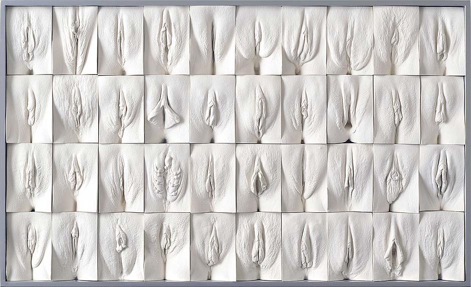 Jamie Mc Cartney The great wall of vagina, panel 2 of 10. The 9 metre long polyptych consists of four hundred plaster casts of vulvas, all of them unique, arranged into ten large panels.