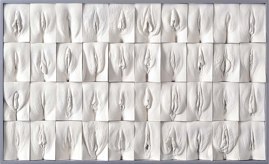 Jamie Mc Cartney The great wall of vagina, panel 3 of 10. The 9 metre long polyptych consists of four hundred plaster casts of vulvas, all of them unique, arranged into ten large panels.