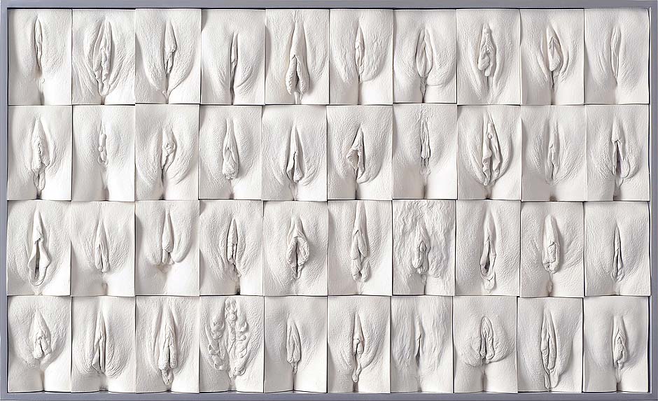 Jamie Mc Cartney The great wall of vagina, panel 4 of 10. The 9 metre long polyptych consists of four hundred plaster casts of vulvas, all of them unique, arranged into ten large panels.