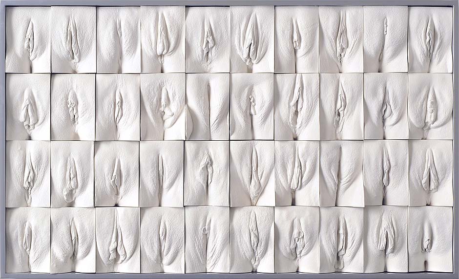 Jamie Mc Cartney The great wall of vagina, panel 5 of 10. The 9 metre long polyptych consists of four hundred plaster casts of vulvas, all of them unique, arranged into ten large panels.