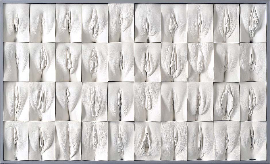 Jamie Mc Cartney The great wall of vagina, panel 7 of 10. The 9 metre long polyptych consists of four hundred plaster casts of vulvas, all of them unique, arranged into ten large panels.
