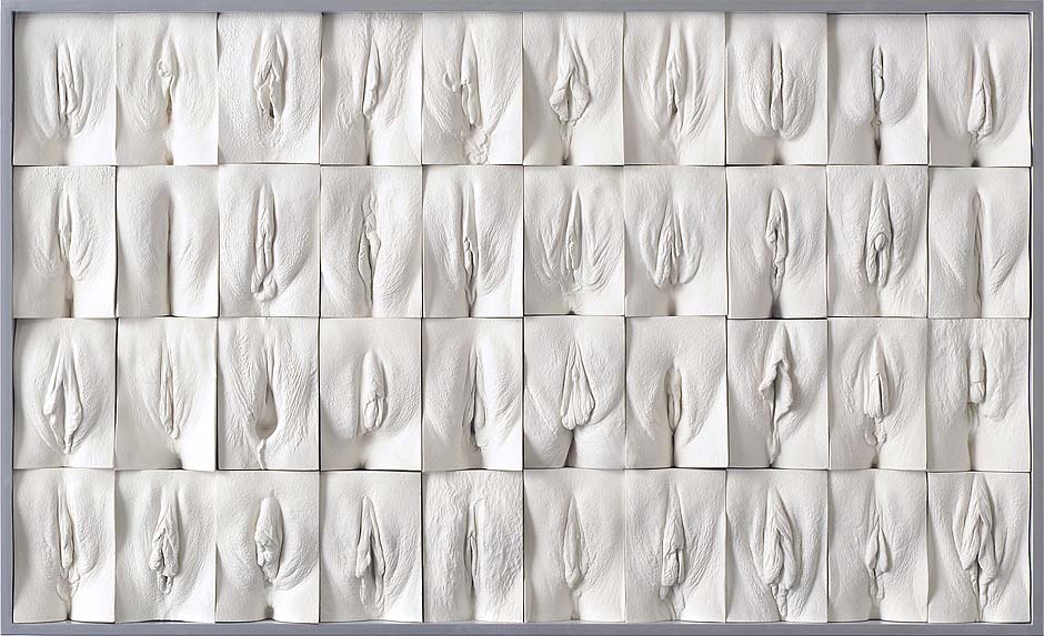 Jamie Mc Cartney The great wall of vagina, panel 8 of 10. The 9 metre long polyptych consists of four hundred plaster casts of vulvas, all of them unique, arranged into ten large panels.