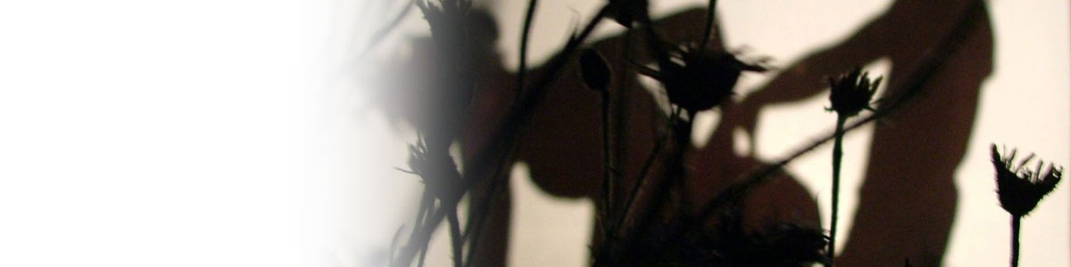 Cinema Joy | Petra Joy presents the best porn from a female perspective.